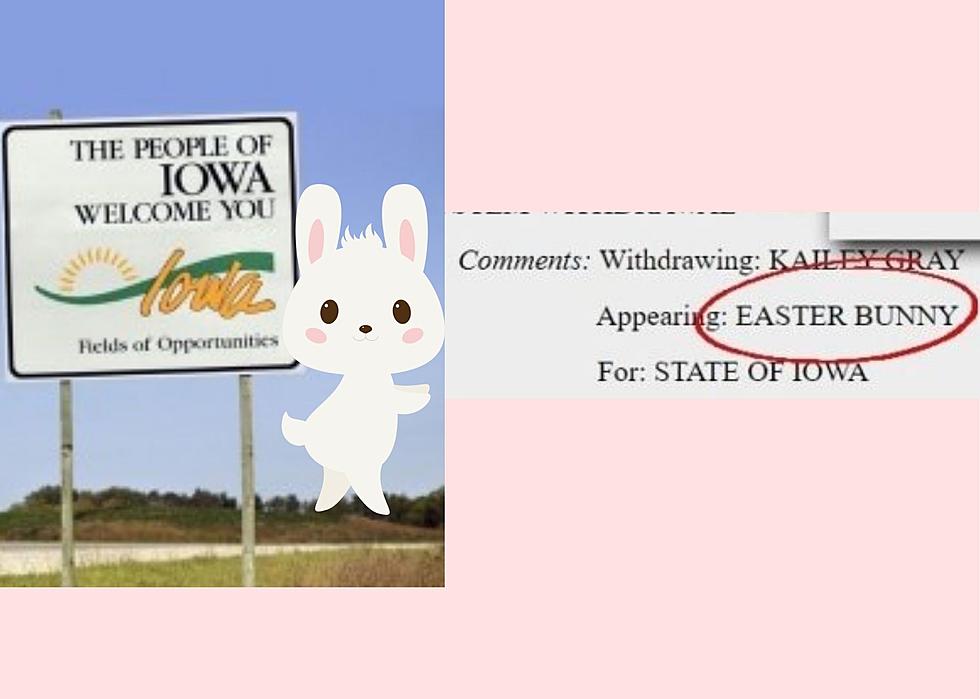 Did You Know Easter Bunny Is Also a Prosecutor in Iowa Court Cases?