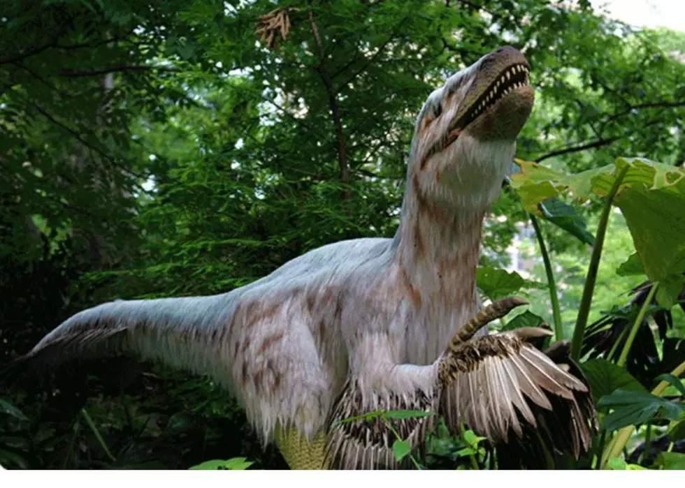 Fair But Make It Jurassic Park: Dinos To Be At Illinois State Fair This Month