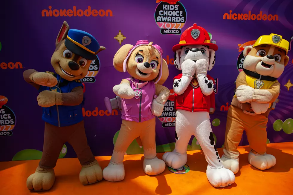 PAW Patrol Live! Coming To The Quad Cities For Two PAWsome Shows