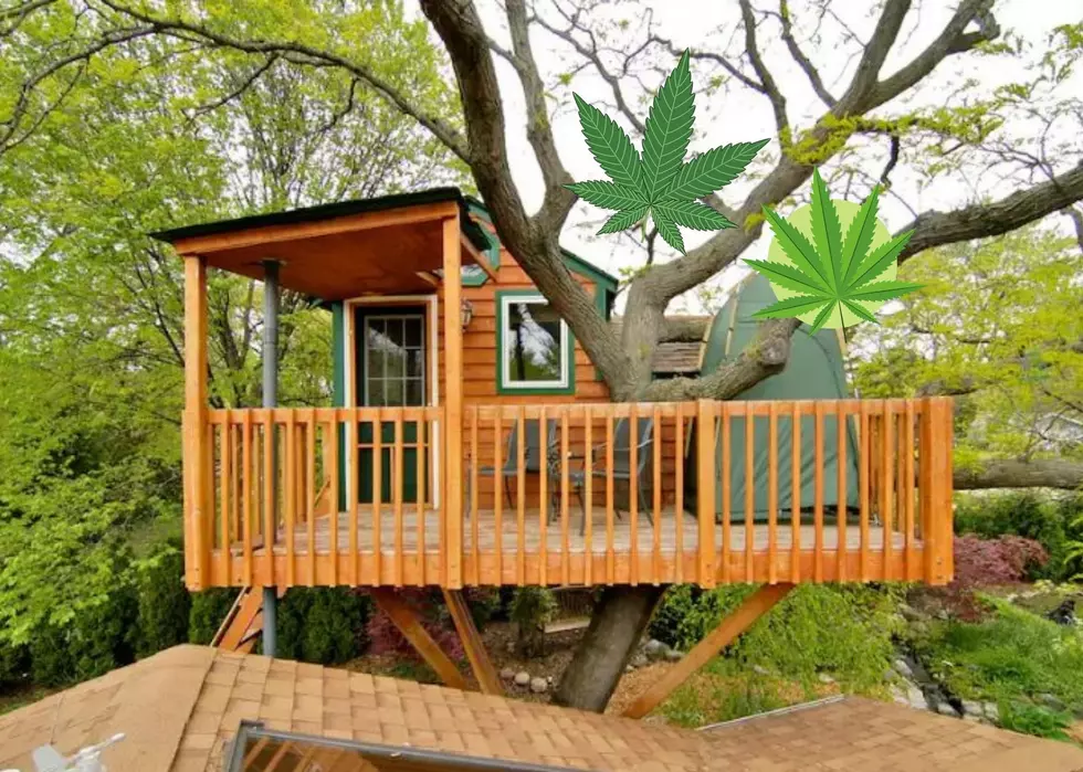You Can Be Literally High In This 420 Friendly Illinois Treehouse Airbnb