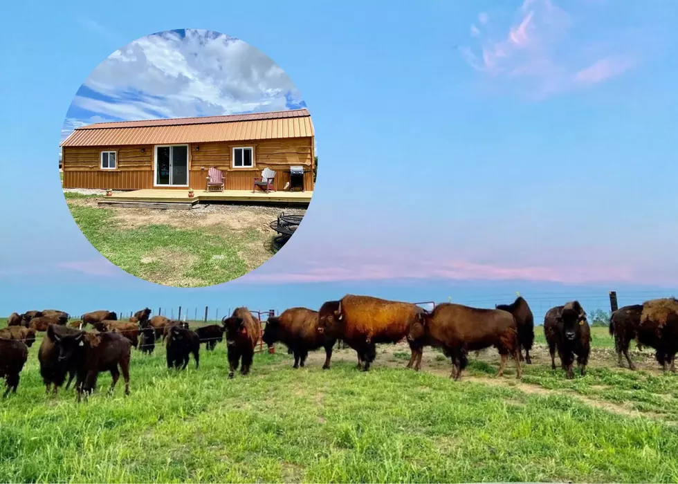 Where The Buffalo Roam: This Iowa VRBO Western Cabin Is On A Buffalo Ranch