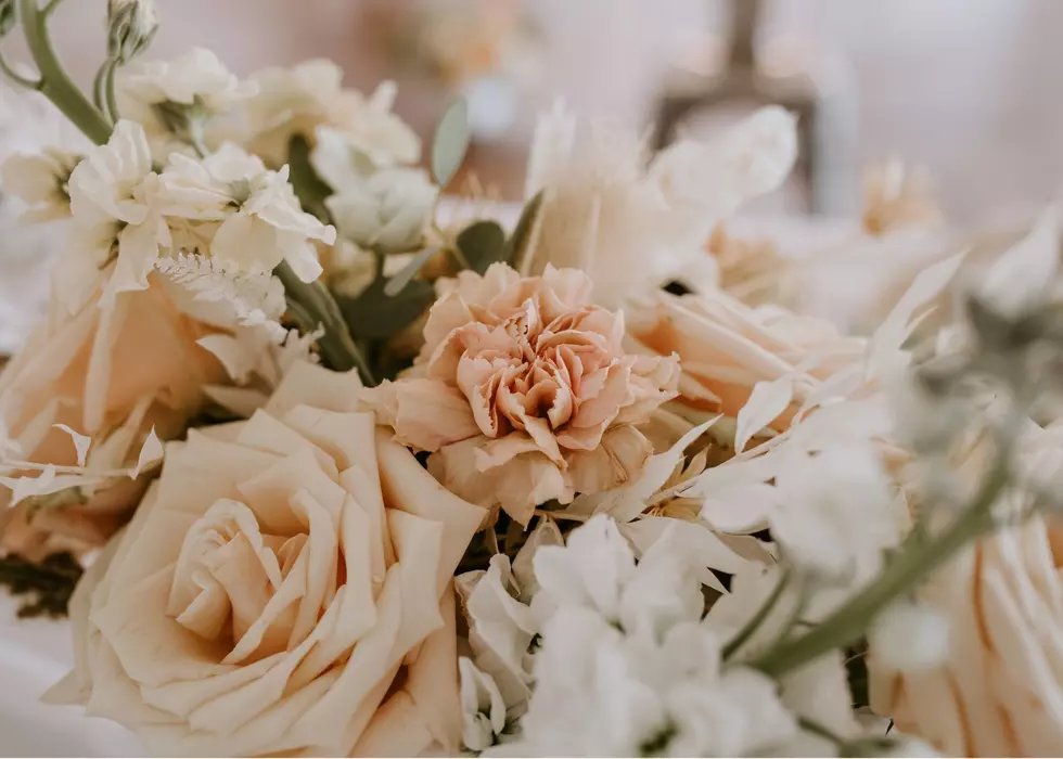 Get Your Wedding Inspo And Have Fun At Not Another Bridal Expo In Davenport