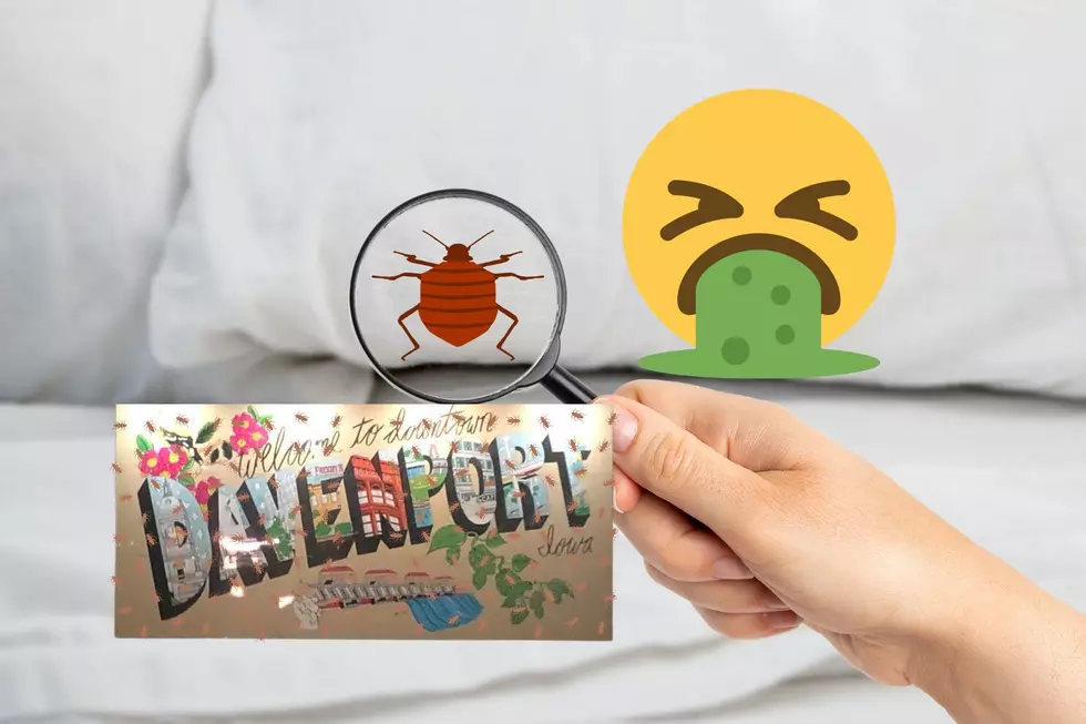 Davenport, IA Named One Of 2023’s Top Cities That Has… Bed Bugs