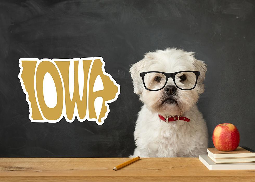 Iowa Is One Of The Top 10 Smartest States In The U.S. For 2023