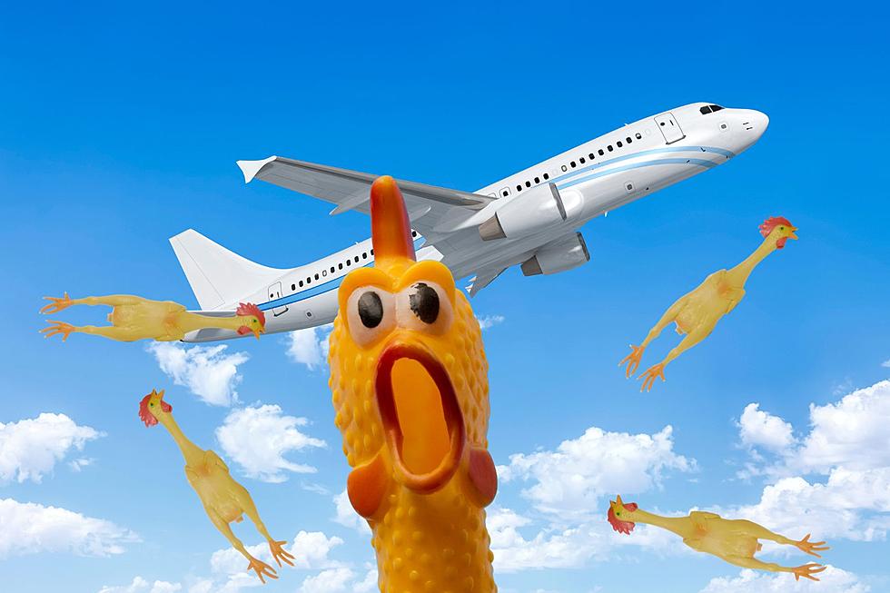 Drop Rubber Chickens Out Of An Airplane In Eastern Iowa