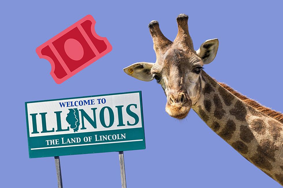 Popular Illinois Zoo Offering Free Admission Days This Fall