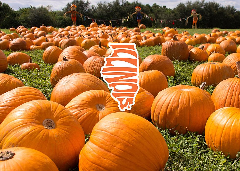 Prepare For Pumpkin Spiced Disappointment In Illinois