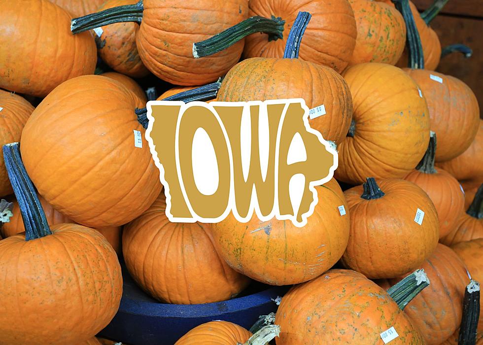 What’s With Iowa’s Weird Pumpkin Sales Tax Law?