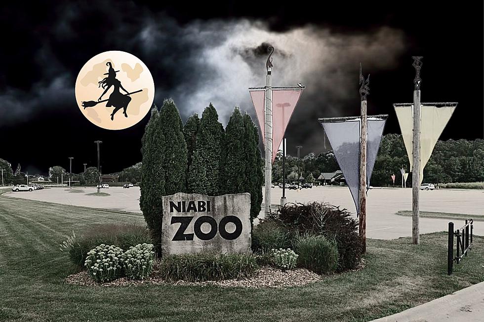 Popular Illinois Zoo Hosting Annual Boo At The Zoo Event