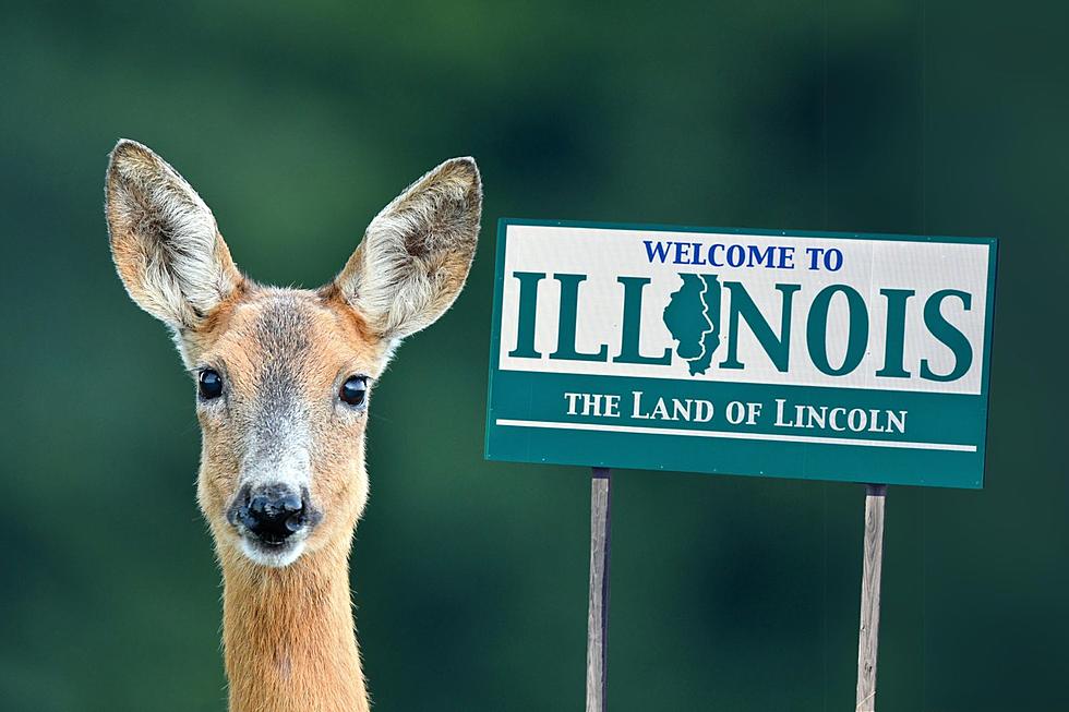 Illinois Fire Department Goes Viral For Saving A Stuck Deer