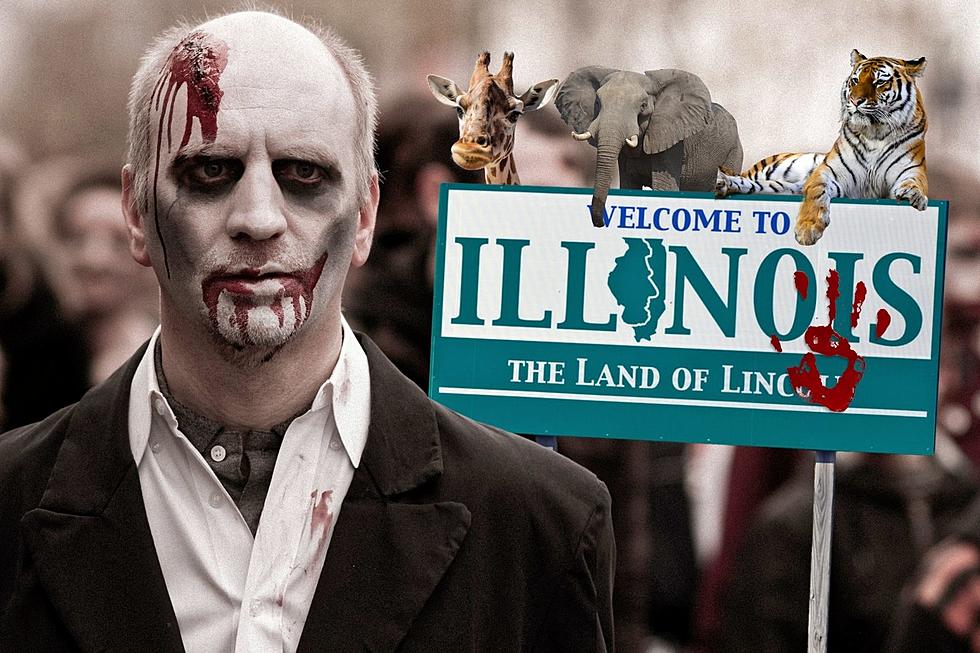 Popular Illinois Zoo Wants You To Be A Zombie Or Run As One