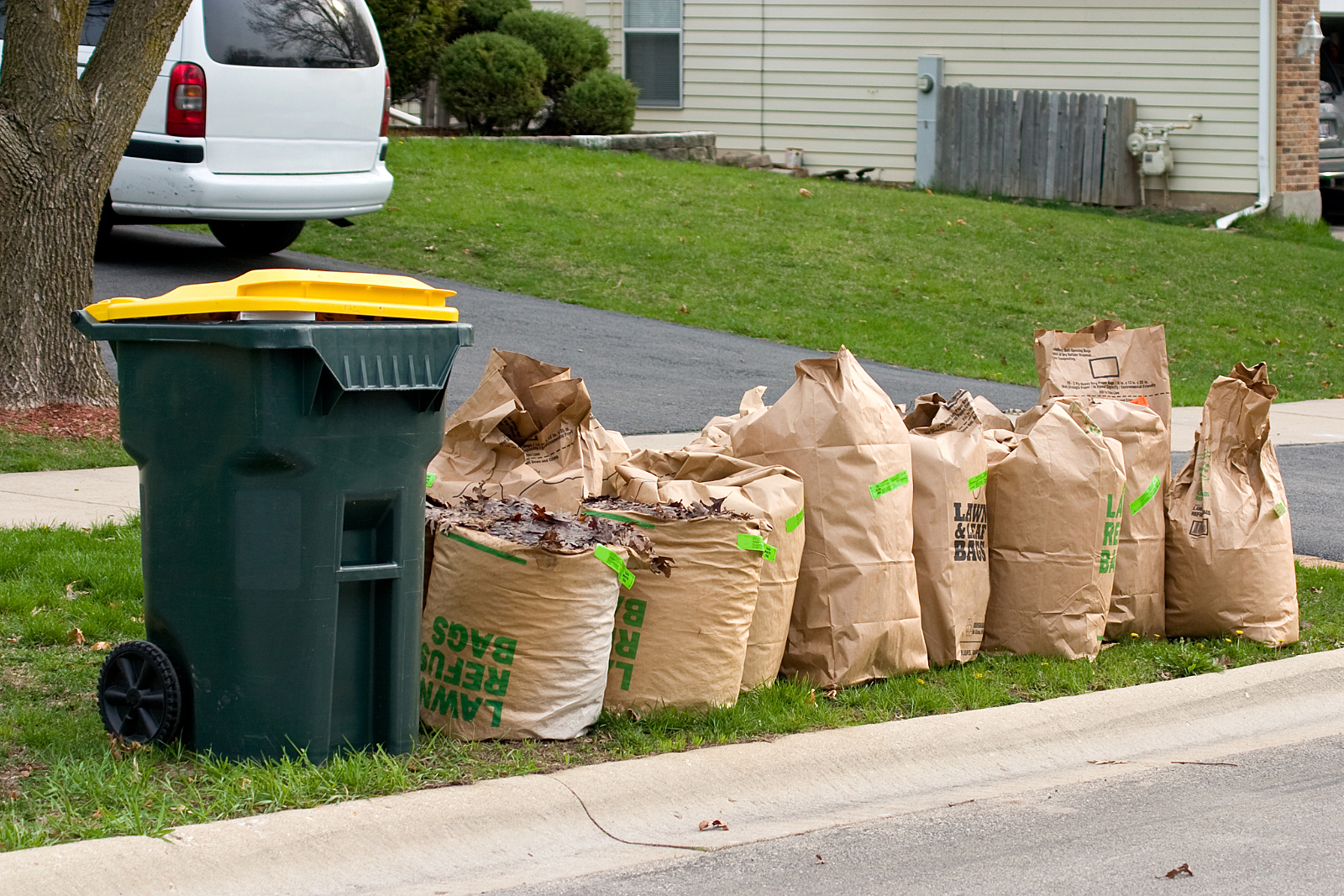 What NOT to Put in With Your Yard Waste - SCARCE