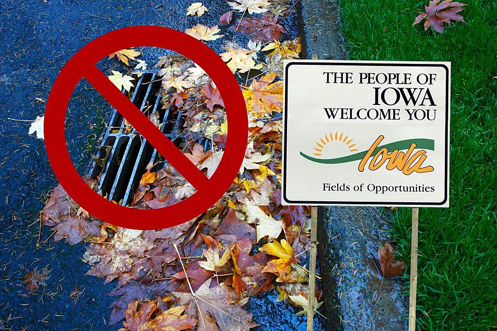 It’s Illegal To Blow Your Leaves Onto The Street In Iowa