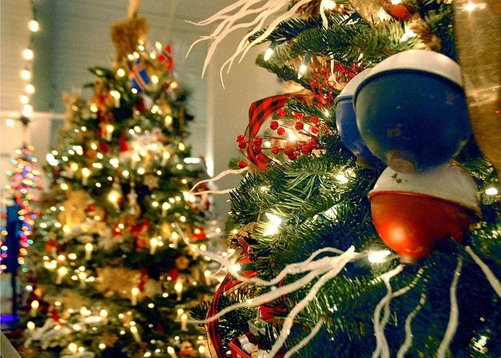 Festival Of Trees Begins, Brings Christmas Spirit To Eastern Iowa