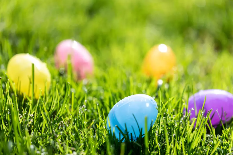 Kids Can Hunt For Eggs This Weekend At Iowa Farmers’ Market