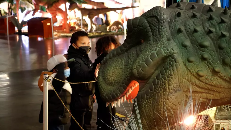 Life-Sized Dinosaurs Are Returning To Illinois This Month