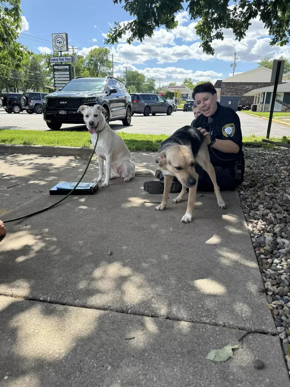 Humane Society of Scott County via Facebook