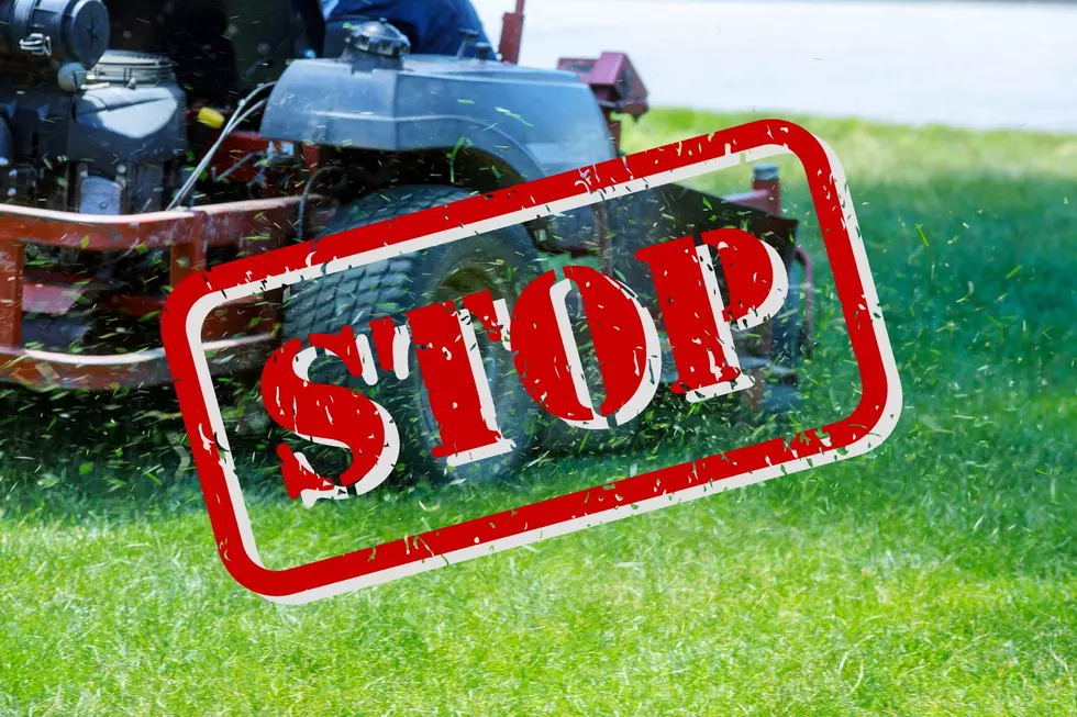 Iowa, It’s Illegal To Blow Your Grass Clippings In The Road