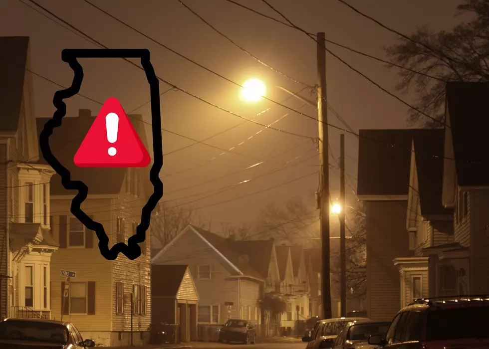 Here’s Why Illinois Officials Ask You To Turn Off Lights, Keep Cats Inside This Week