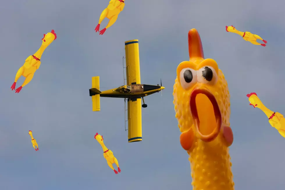 Rubber Chickens Will Be Thrown Out Of Airplanes In Eastern Iowa