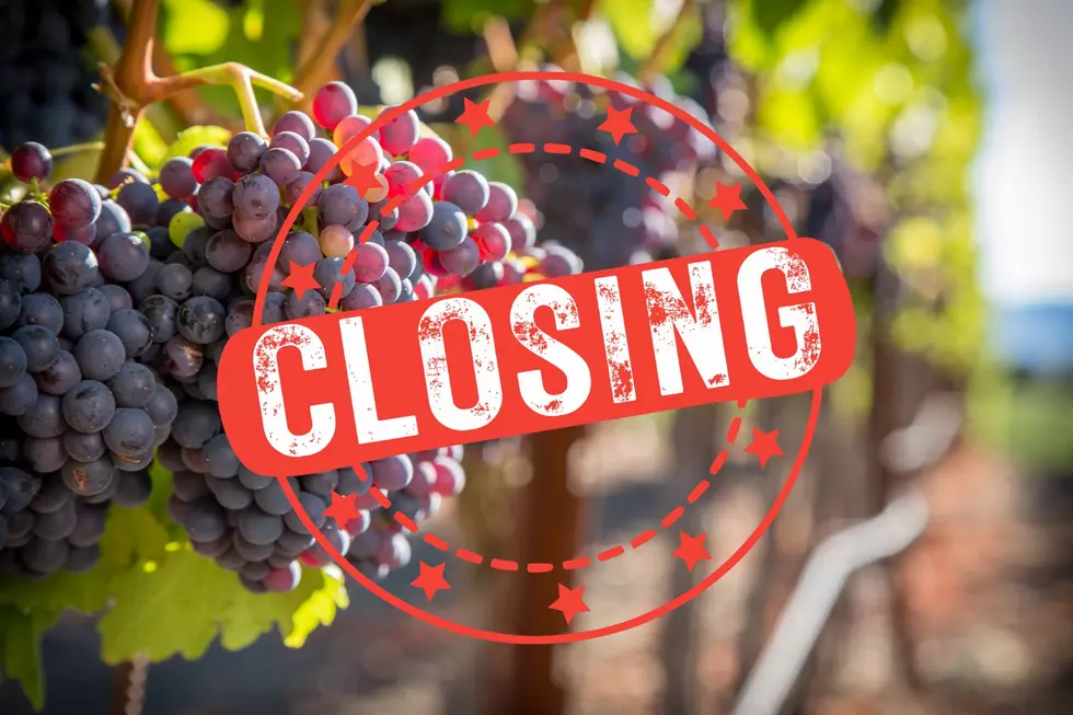 Popular Eastern Iowa Winery Is Closing At The End Of The Year