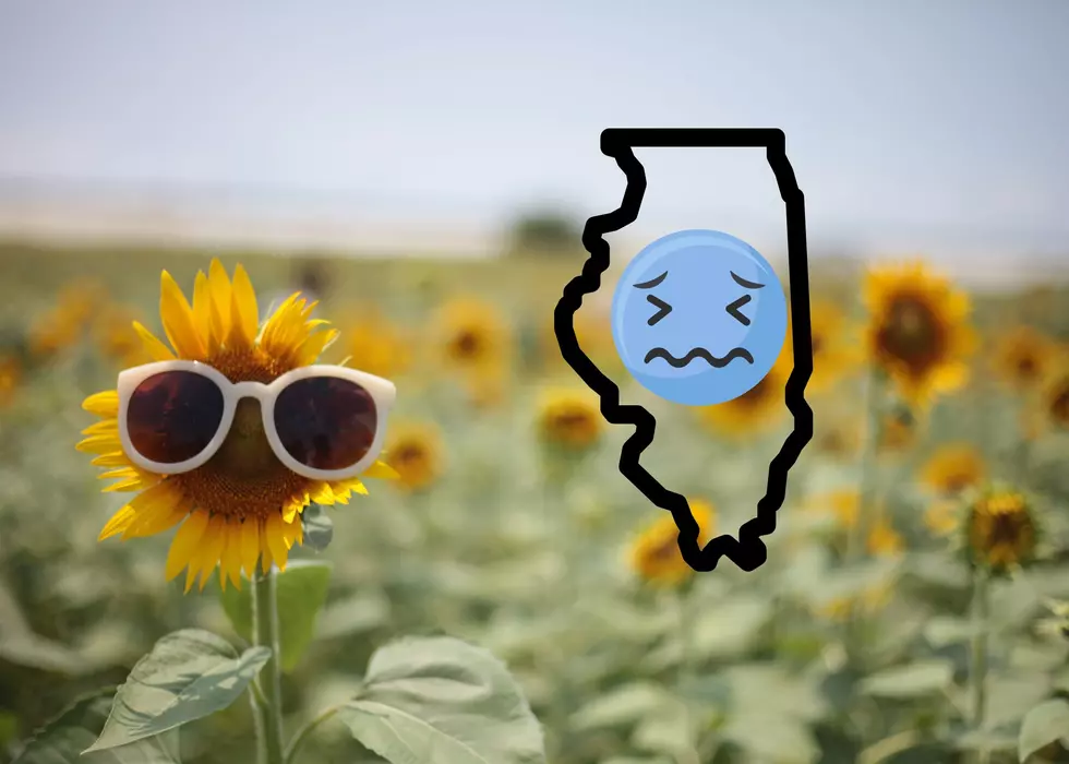 This Is Why The Rest Of The Summer Will Be Stinky In Illinois