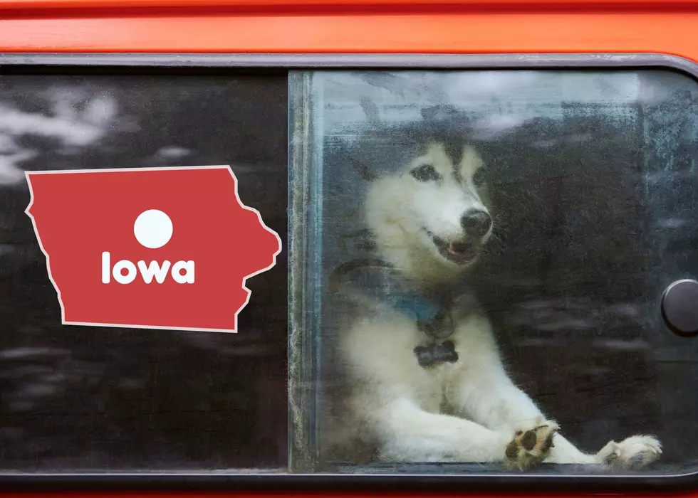 Here’s What Iowa Says About Breaking A Car Window To Save A Dog On A Hot Day