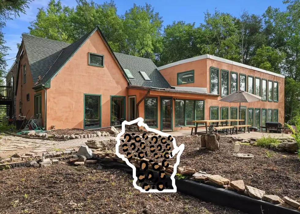 You Can Walk On The Wild Side In $1.4 Million Jungle-Themed Wisconsin House