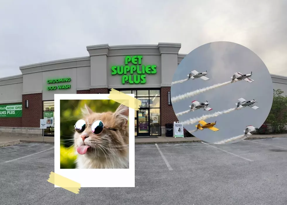 Shop For Your Pet, Enjoy Food Trucks, Enter To Win Quad City Airshow Tickets At Pet Supplies Plus Bettendorf Grand Opening