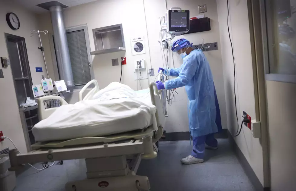 Illinois One Of Hardest Hit States In Different Fungus Infection