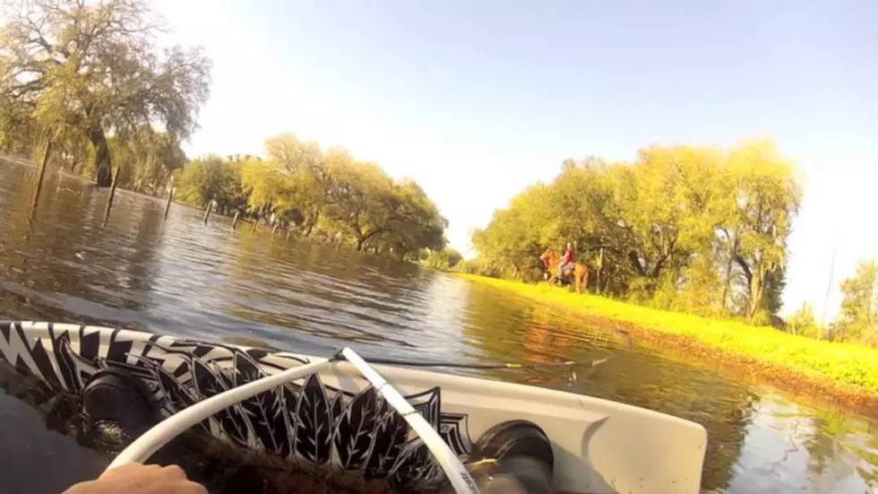 Who needs a lake and a boat to wakeboard when you have a horse and a drainage ditch? [VIDEO]