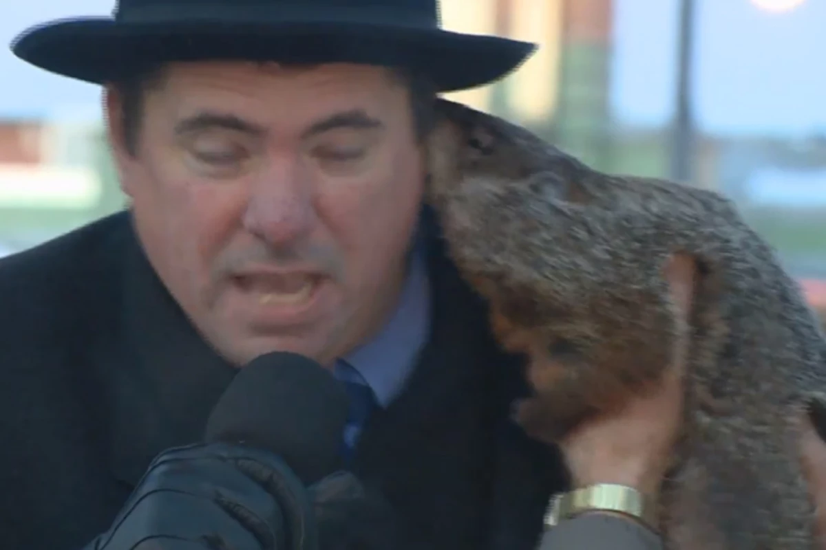 Jimmy The Groundhog Bit A Mayor In Wisconsin ?w=1200&h=0&zc=1&s=0&a=t&q=89