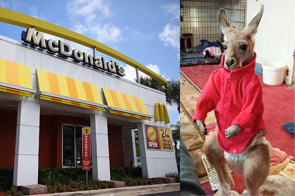 Woman Took Her Kangaroo to a McDonald&#8217;s in Wisconsin