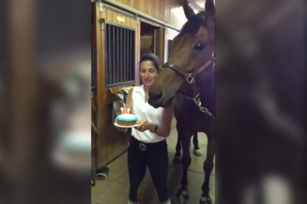 And Now, A Horse Blows Out Its Birthday Candles