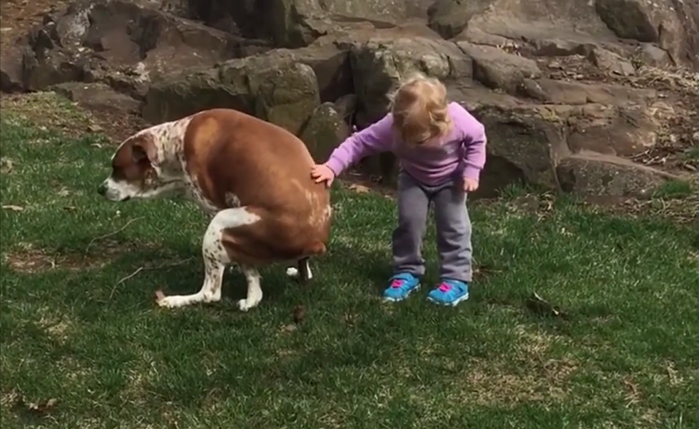 Little Girl Offers Encouragement to a Pooping Dog