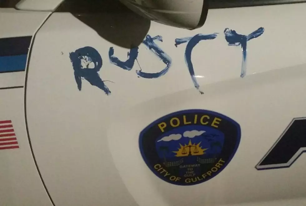 Drunk Guy Busted For Painting His Name on Cop Cars