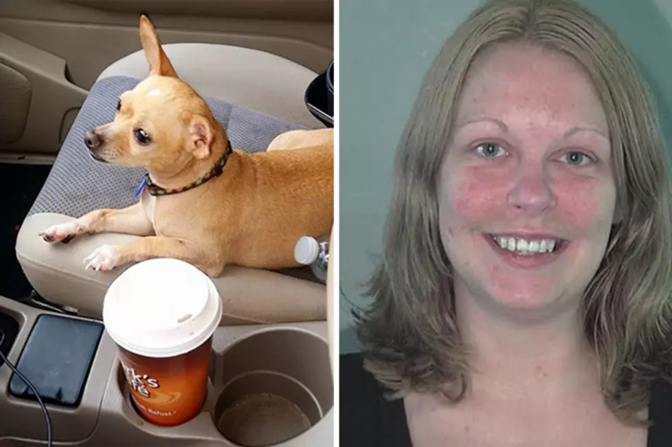 Woman Blames Hit and Run on Her Dog