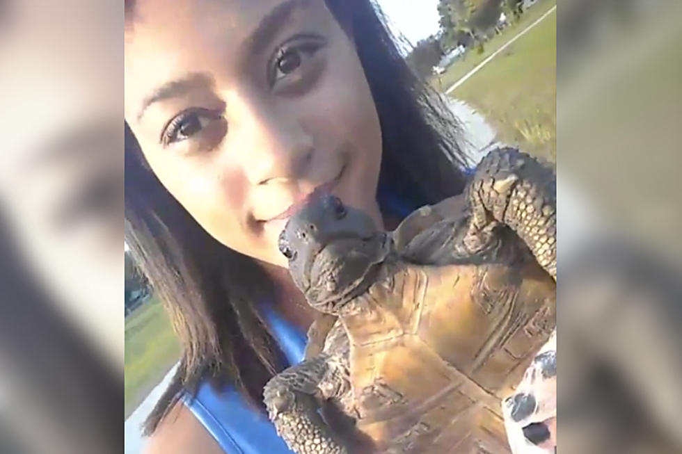 Did This Girl Save a Turtle Or Kill a Tortoise?