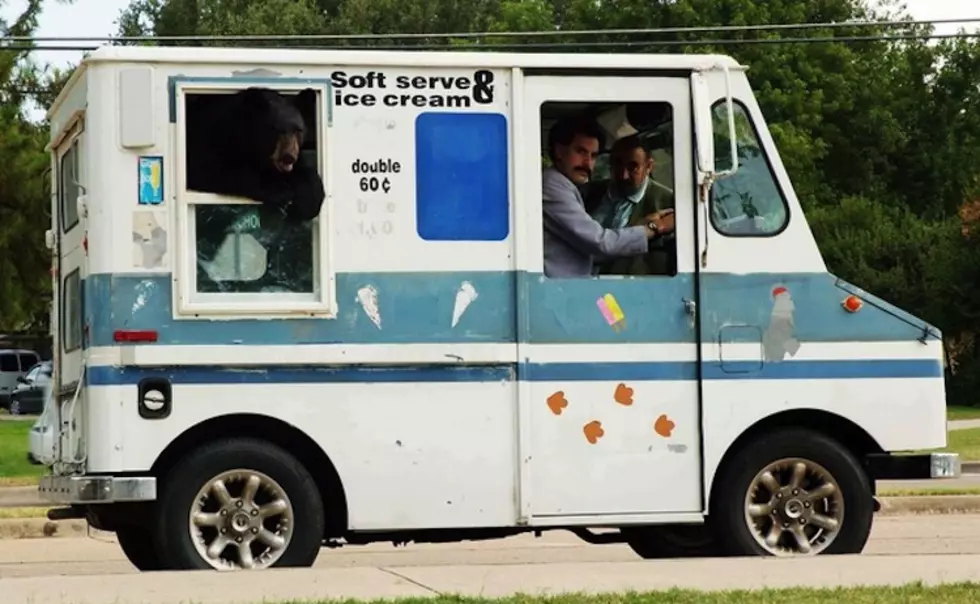 Guy Driving With a Bear Avoids a Ticket, Because It Was Wearing a Seat Belt