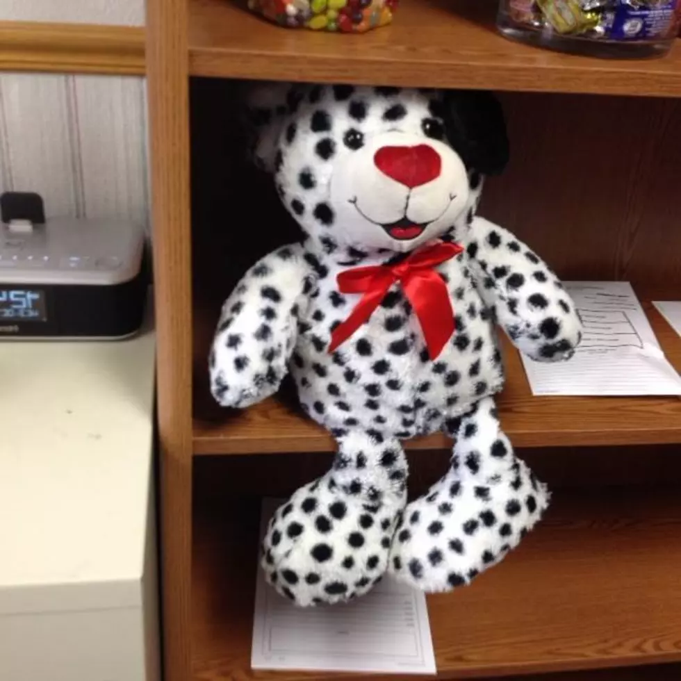 First-Grader Finds Teddy Bear with Meth-Laced Needle Hidden Inside