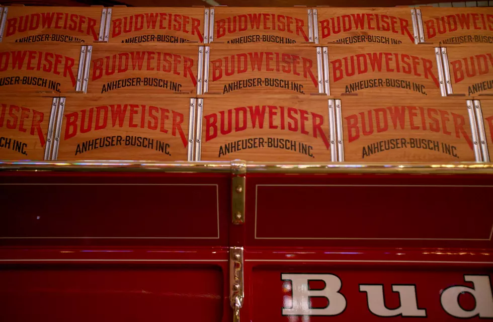 Teen Named Bud Weisser Was Caught Trespassing at the Budweiser Brewery