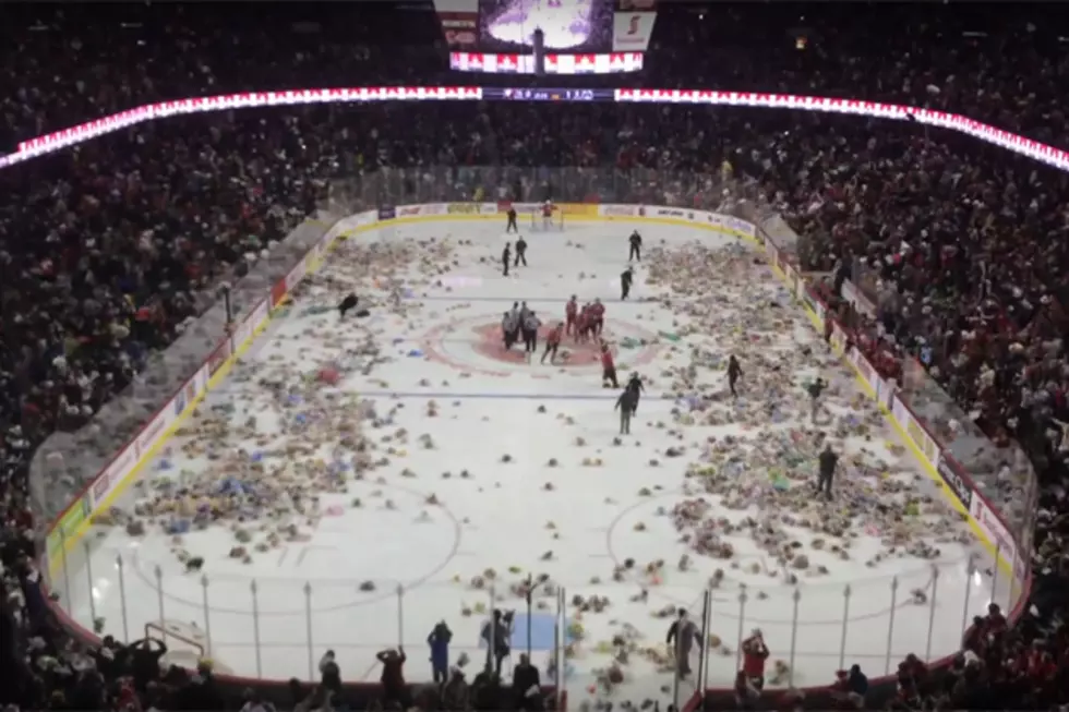 Hockey Fans Throw 28,815 Teddy Bears on Ice For Charity