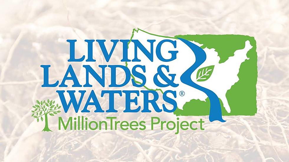 Volunteers Needed for LL&#038;W Million Trees Project