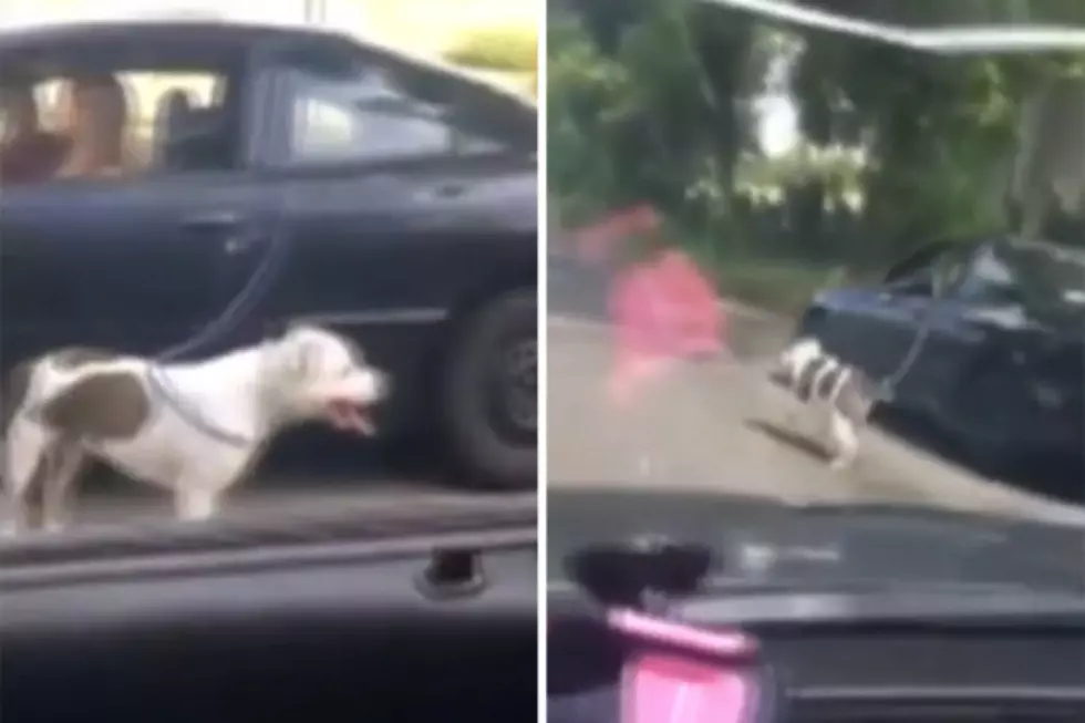 California Woman Sparks Outrage After Walking Dog Alongside Car