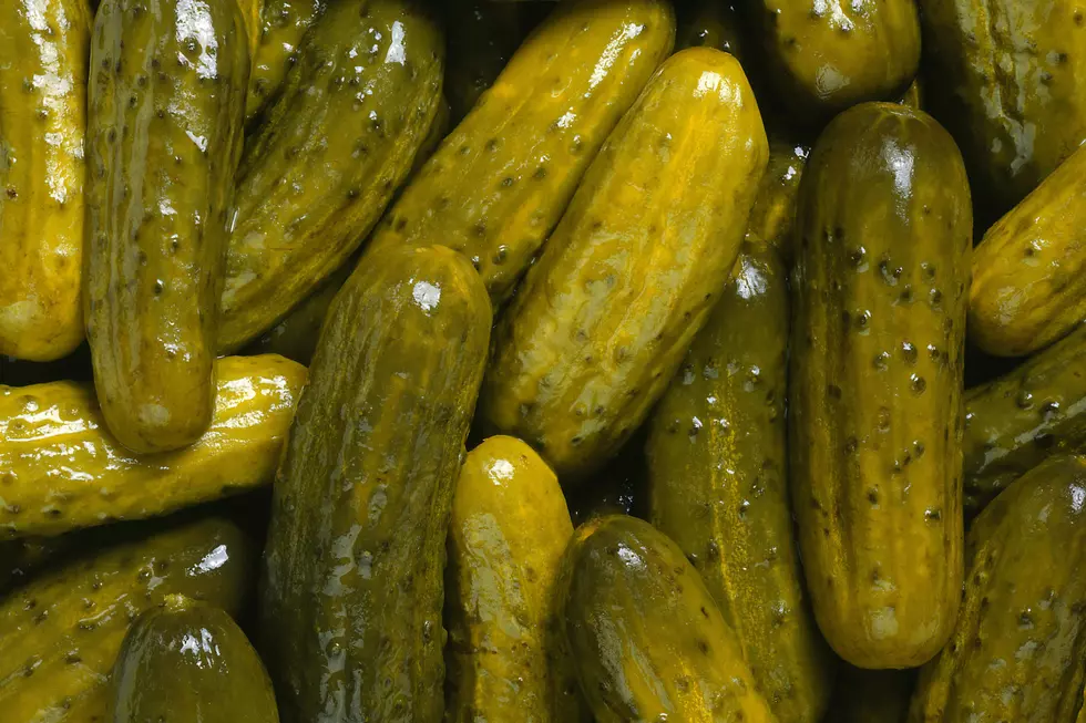 New Ballpark Sandwich Uses Giant Pickle As Bun