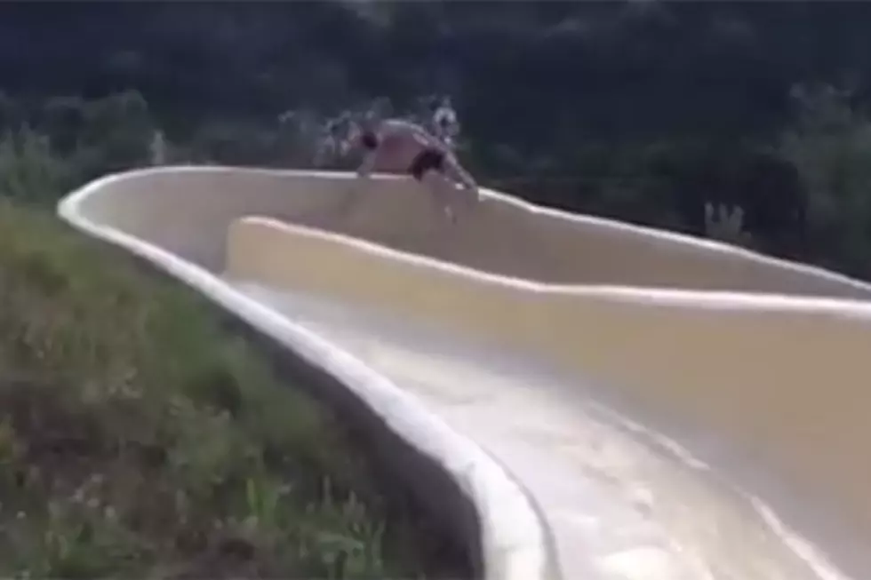 Man Falls From Water Slide, Lands on Rocky Cliff