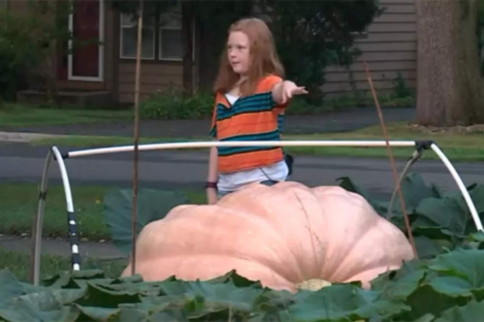 Middle Schooler Grows Half-Ton Pumpkin in Her Backyard