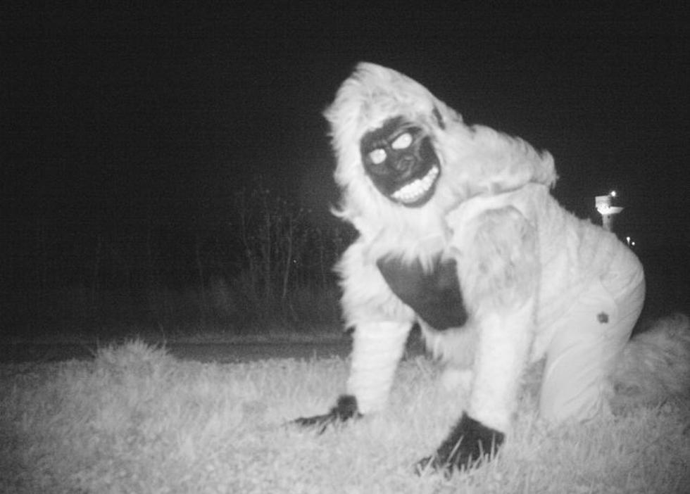 Camera Set Up to View Mountain Lions Captures Strange Goings On