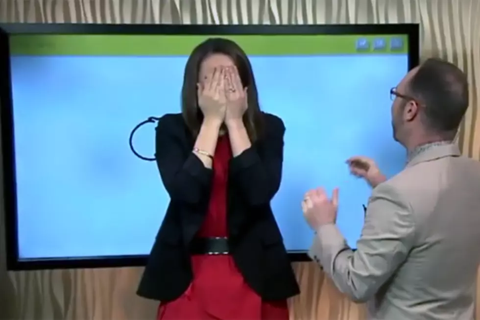 News Anchor&#8217;s On-Air Doodle Goes Hilariously Wrong