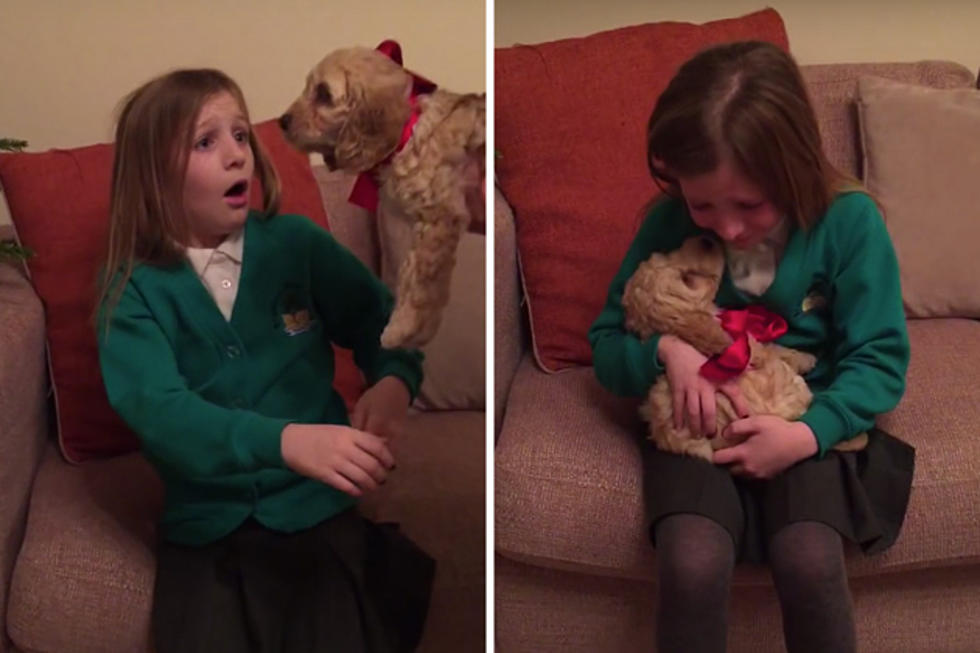 Little Girl Brought to Tears By Christmas Puppy Surprise